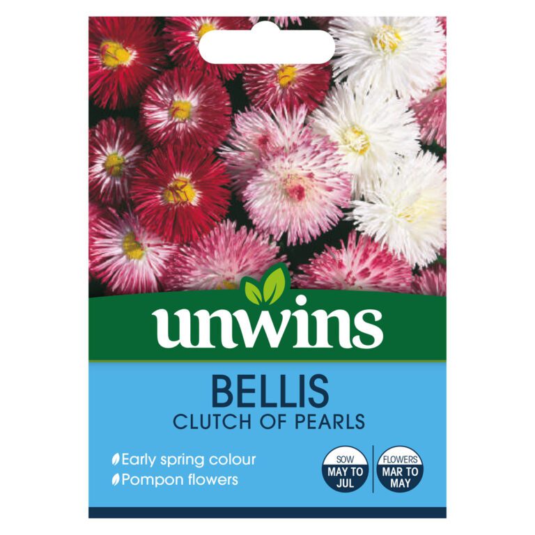 5051618010313 1 Bellis Clutch Of Pearls Seeds.jpg